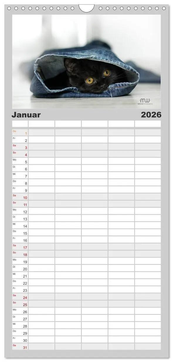 Bild: 9783516521801 | Familienplaner 2026 - Zauberhafte Kätzchen mit 5 Spalten...