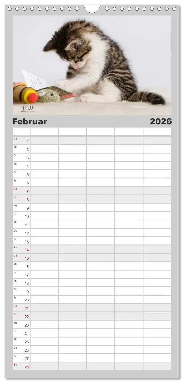 Bild: 9783516521801 | Familienplaner 2026 - Zauberhafte Kätzchen mit 5 Spalten...