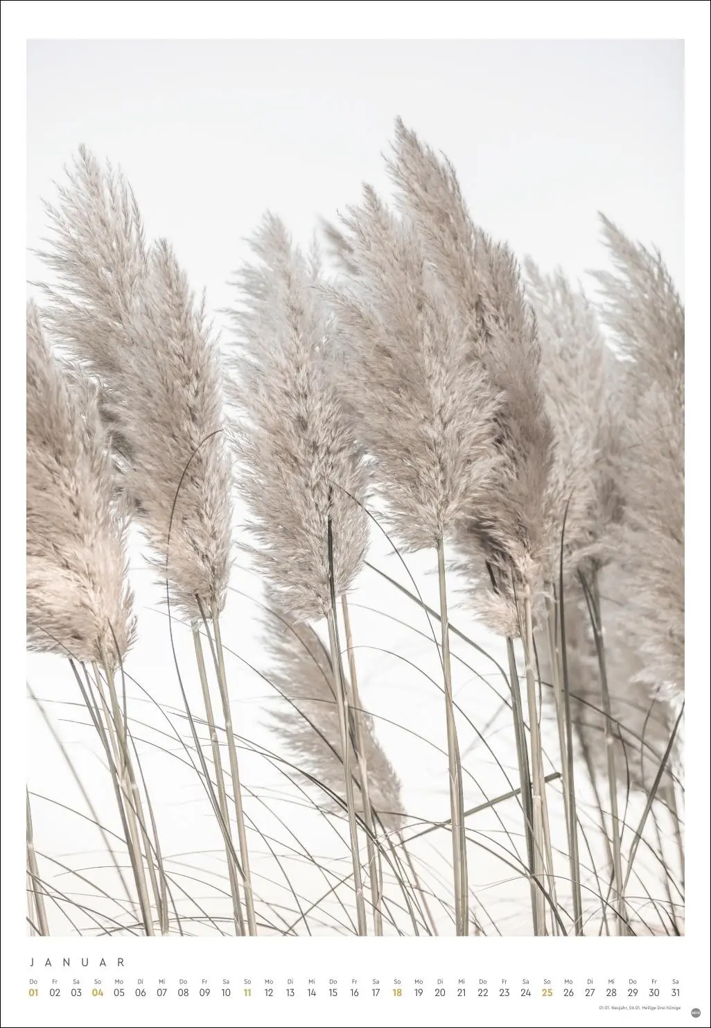 Bild: 9783756411801 | Mareike Böhmer: pure &amp; simple Kalender 2026 | Mareike Böhmer | 14 S.