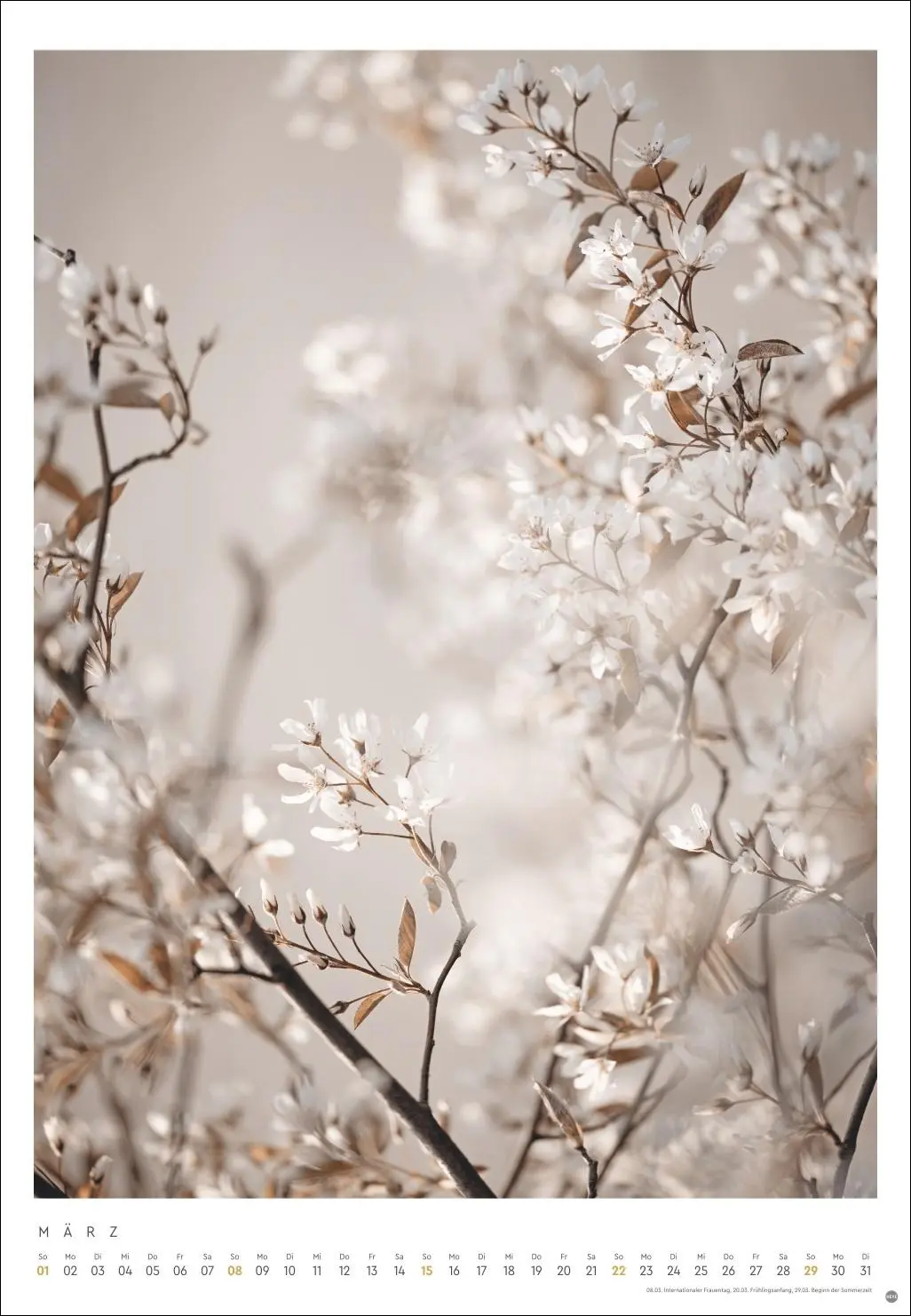 Bild: 9783756411801 | Mareike Böhmer: pure &amp; simple Kalender 2026 | Mareike Böhmer | 14 S.