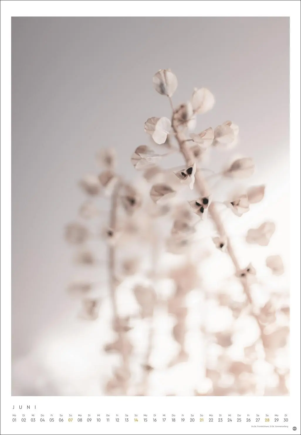 Bild: 9783756411801 | Mareike Böhmer: pure &amp; simple Kalender 2026 | Mareike Böhmer | 14 S.