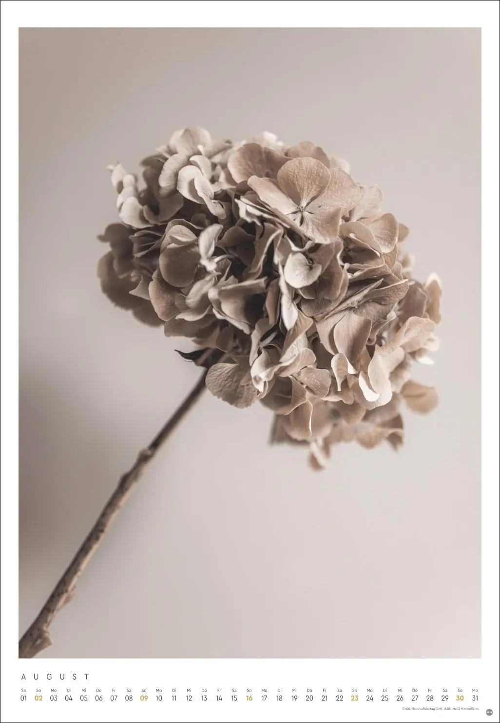 Bild: 9783756411801 | Mareike Böhmer: pure &amp; simple Kalender 2026 | Mareike Böhmer | 14 S.