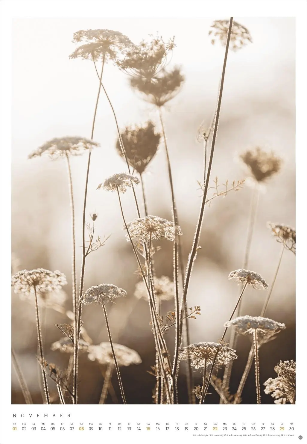 Bild: 9783756411801 | Mareike Böhmer: pure &amp; simple Kalender 2026 | Mareike Böhmer | 14 S.