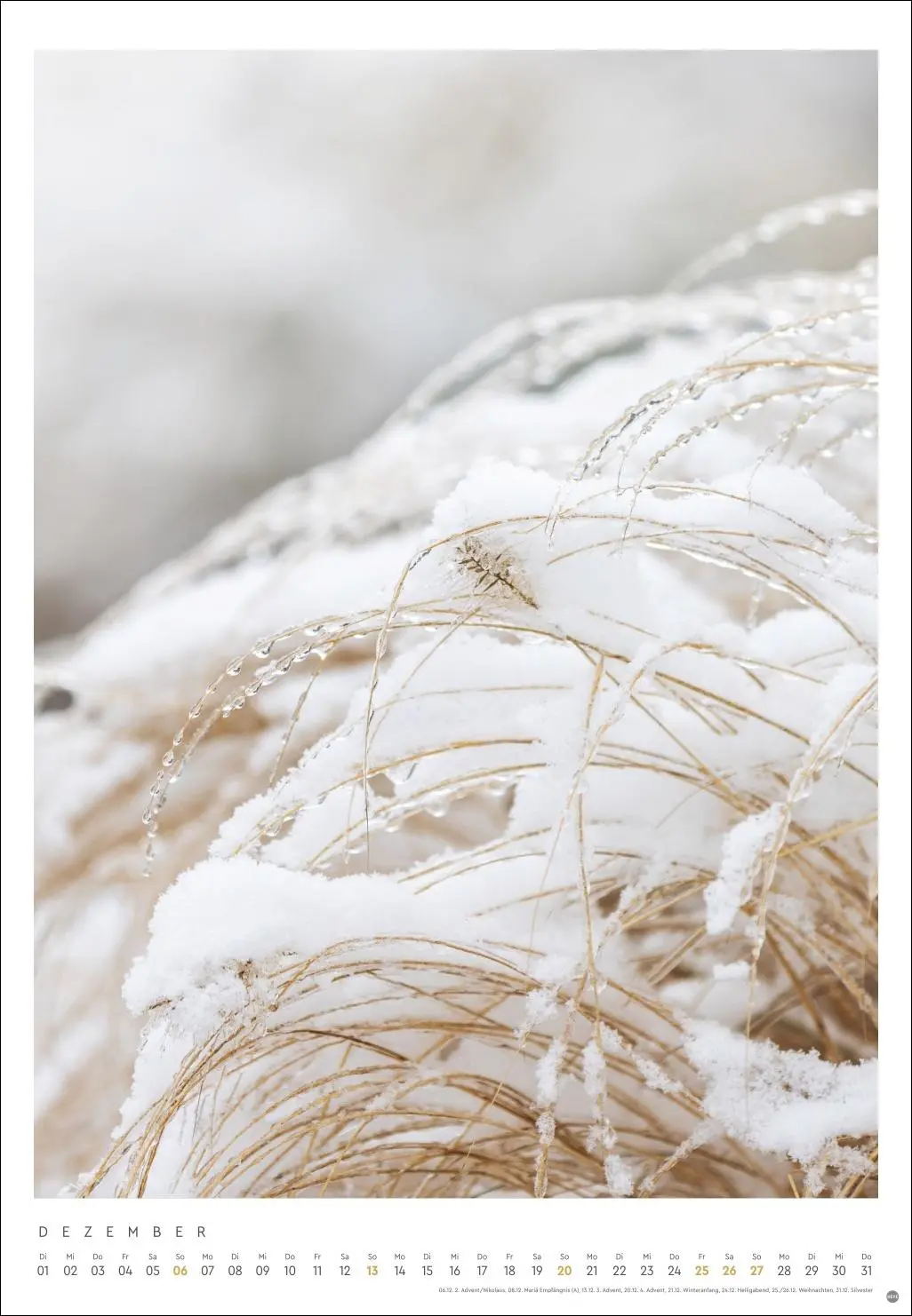 Bild: 9783756411801 | Mareike Böhmer: pure &amp; simple Kalender 2026 | Mareike Böhmer | 14 S.
