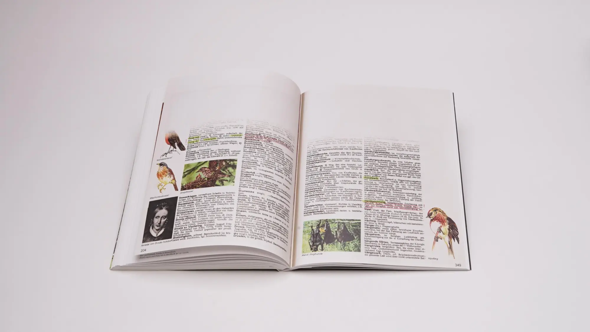 Bild: 9783969121801 | Philip Loersch - POW - PORTRAITIST OF WRITING | Frühsorge (u. a.)