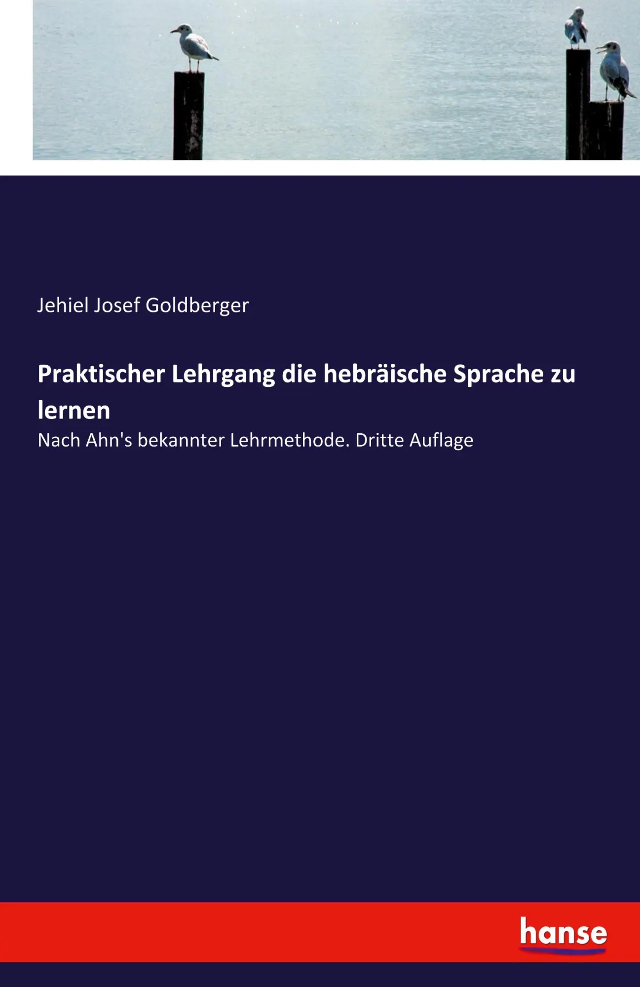Cover: 9783348071901 | Praktischer Lehrgang die hebräische Sprache zu lernen | Goldberger