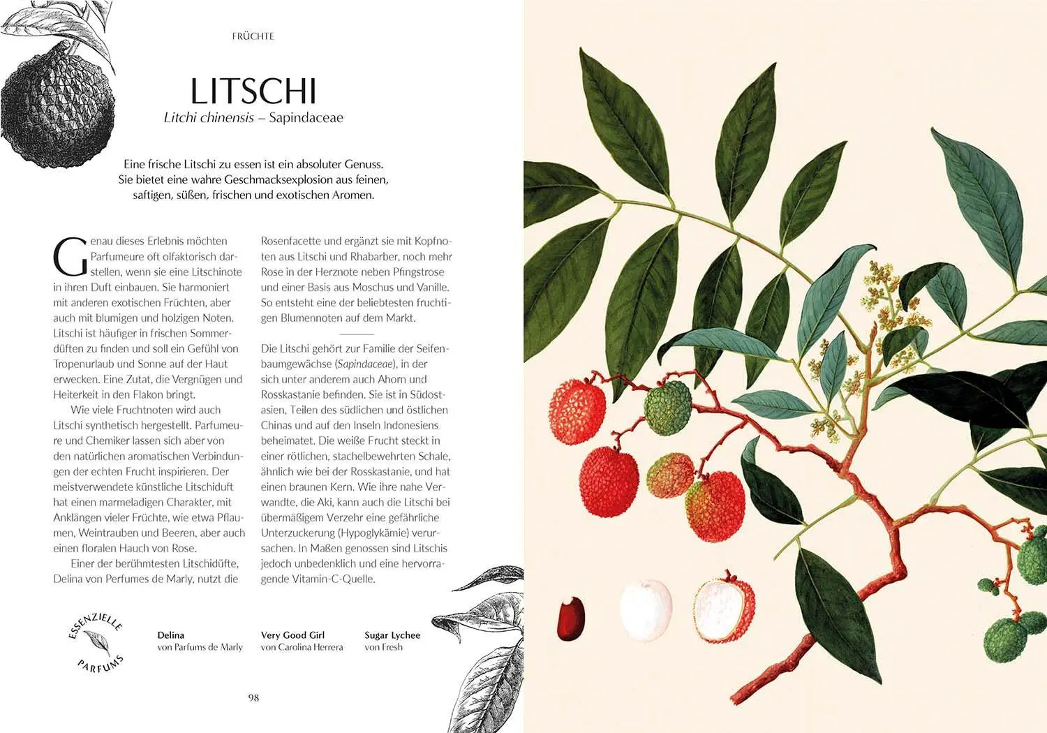 Bild: 9789464991901 | Duft | Von der Pflanze zum Parfum, der Botanische Ursprung des Duftes