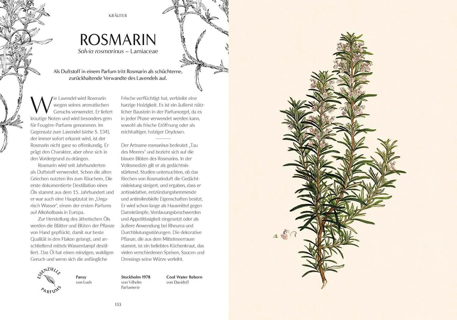 Bild: 9789464991901 | Duft | Von der Pflanze zum Parfum, der Botanische Ursprung des Duftes
