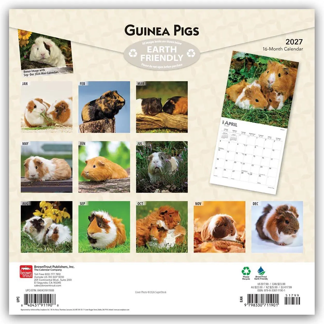 Rückseite: 9798330711901 | Guinea Pigs - Meerschweinschen 2027 - 16-Monatskalender | Publishers