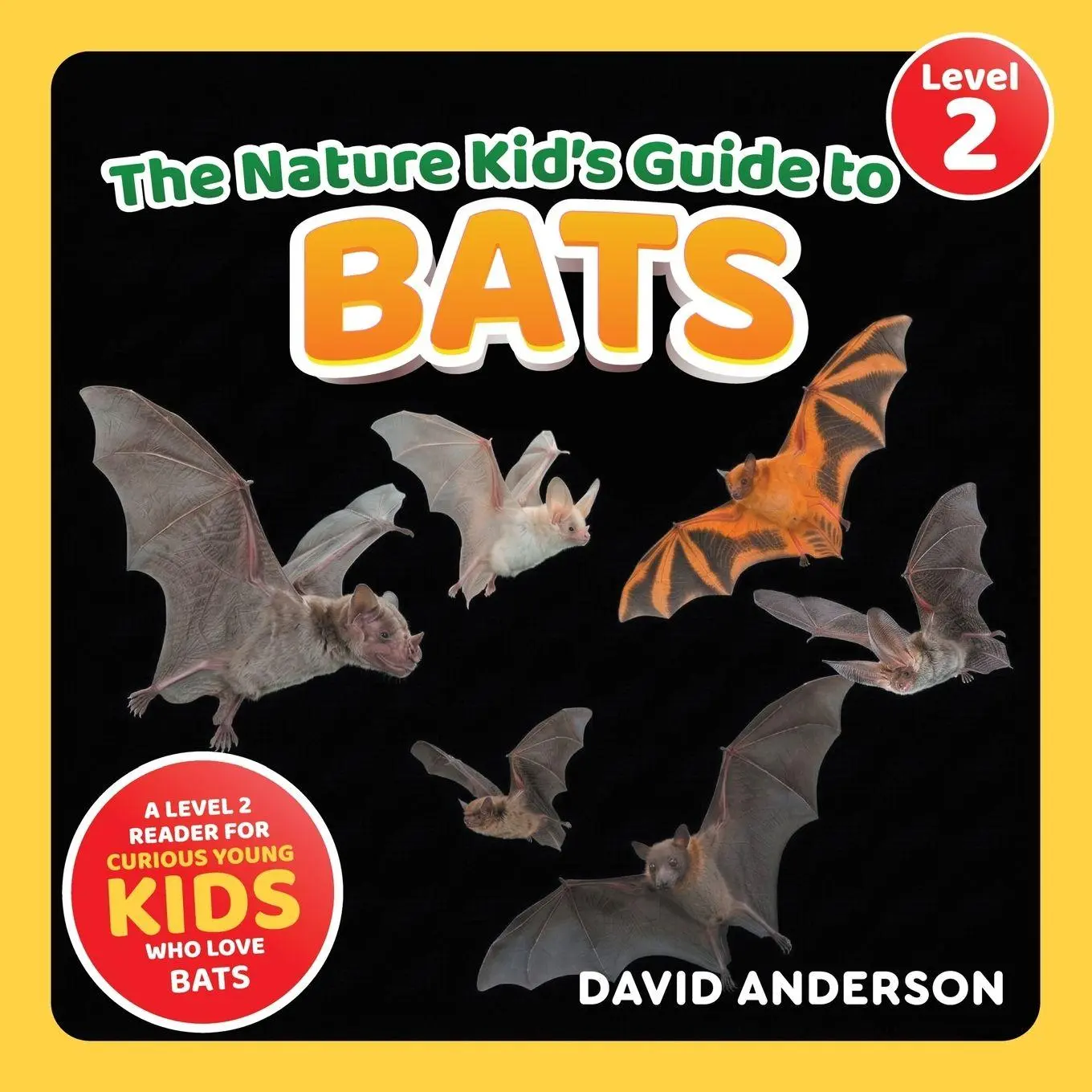 Cover: 9798898181901 | The Nature Kid's Guide to Bats | David Anderson | Taschenbuch | 2026