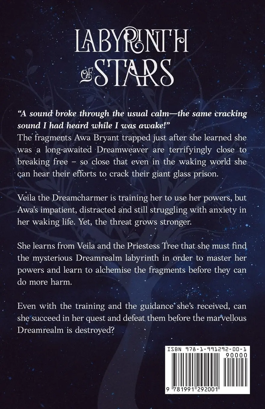 Rückseite: 9781991292001 | Labyrinth of Stars | Dreamrealm Mysteries 2 | Iris Beaglehole | Buch