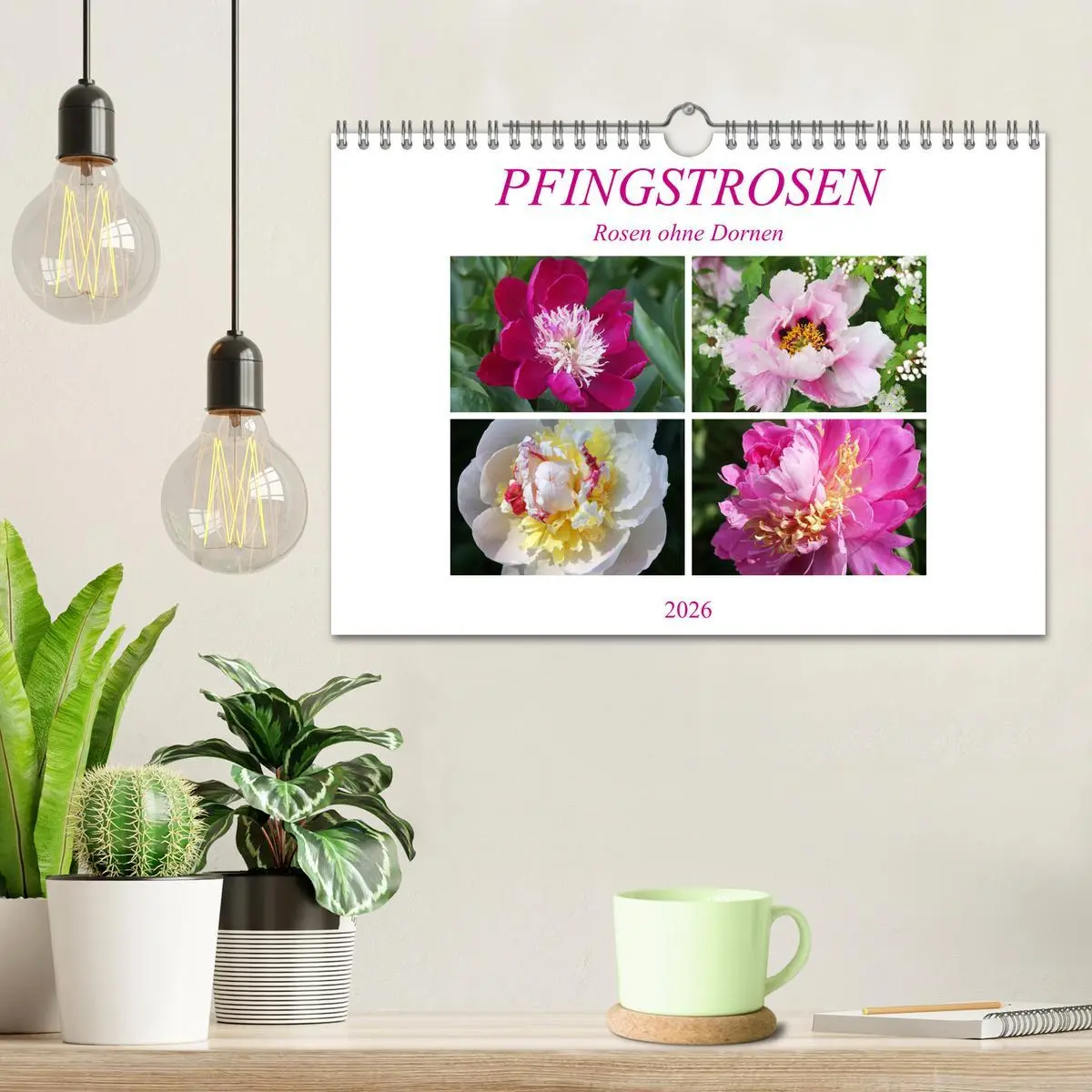 Bild: 9783457932001 | PFINGSTROSEN Rosen ohne Dornen (Wandkalender 2026 DIN A4 quer),...