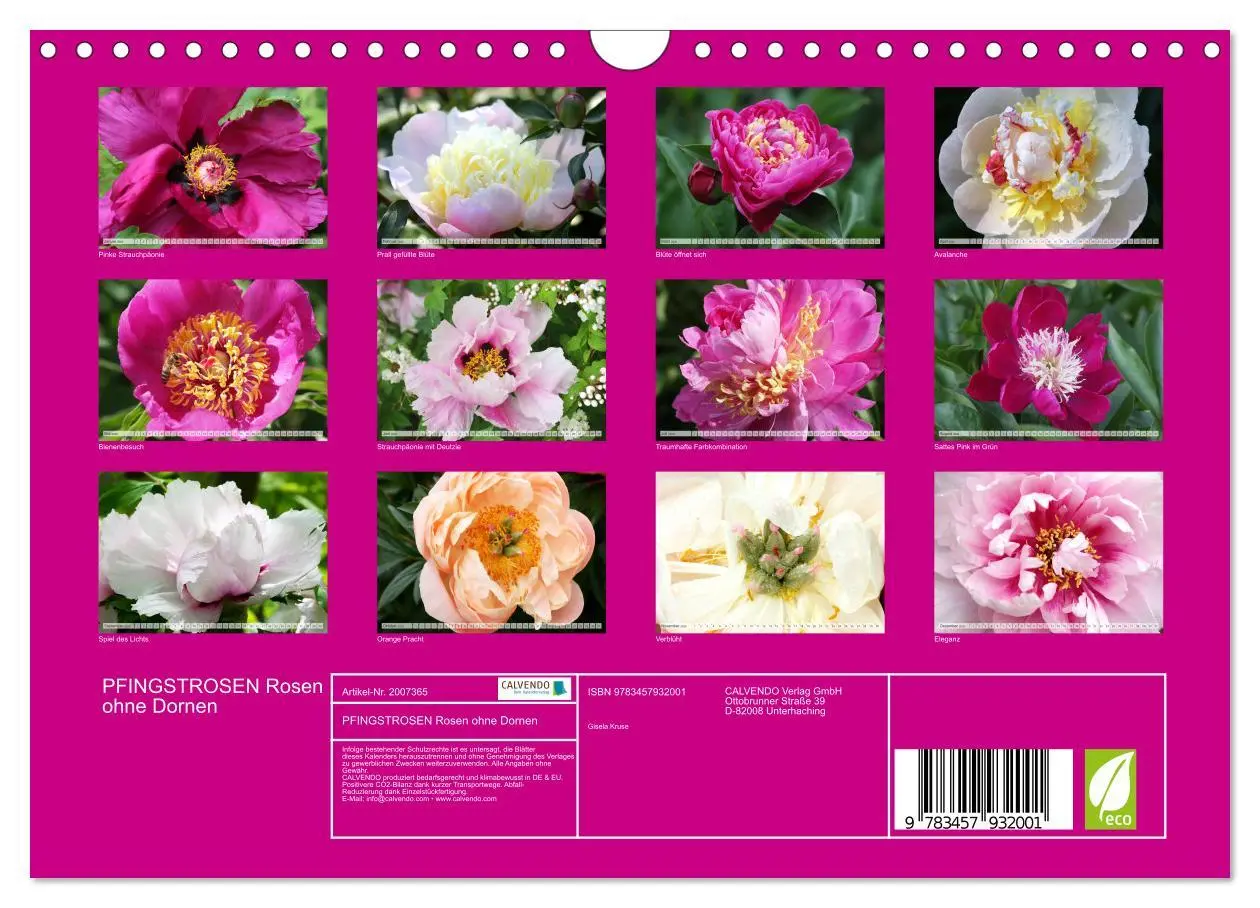 Bild: 9783457932001 | PFINGSTROSEN Rosen ohne Dornen (Wandkalender 2026 DIN A4 quer),...