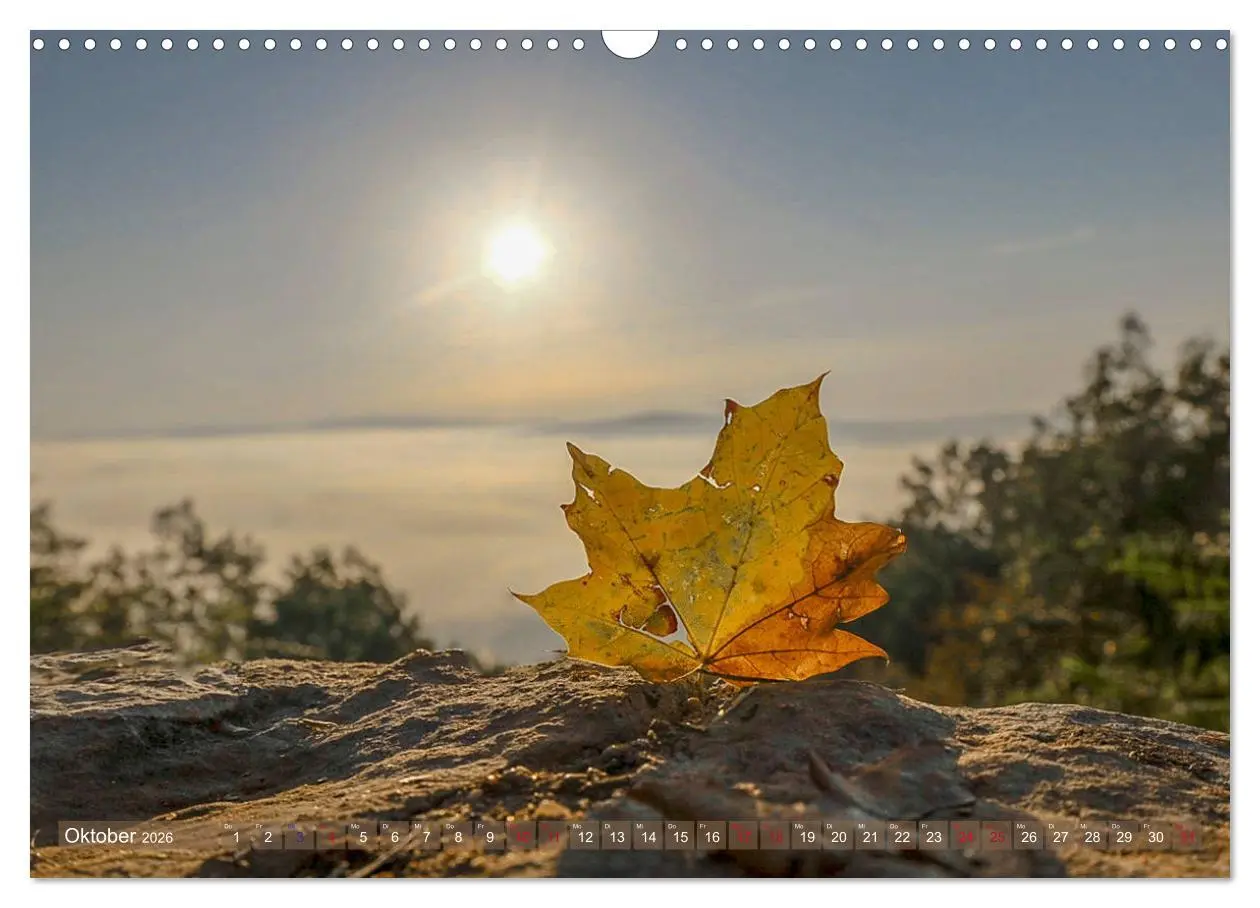 Bild: 9783457782101 | Dordogne Mon Amour (Wandkalender 2026 DIN A3 quer), CALVENDO...