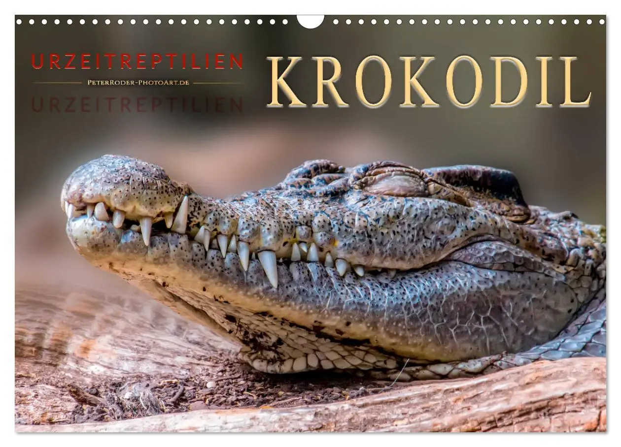 Cover: 9783457852101 | Urzeitreptilien - Krokodil (Wandkalender 2026 DIN A3 quer),...