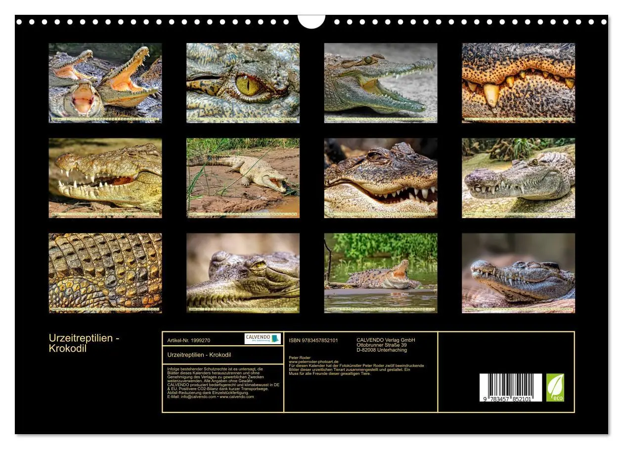 Bild: 9783457852101 | Urzeitreptilien - Krokodil (Wandkalender 2026 DIN A3 quer),...