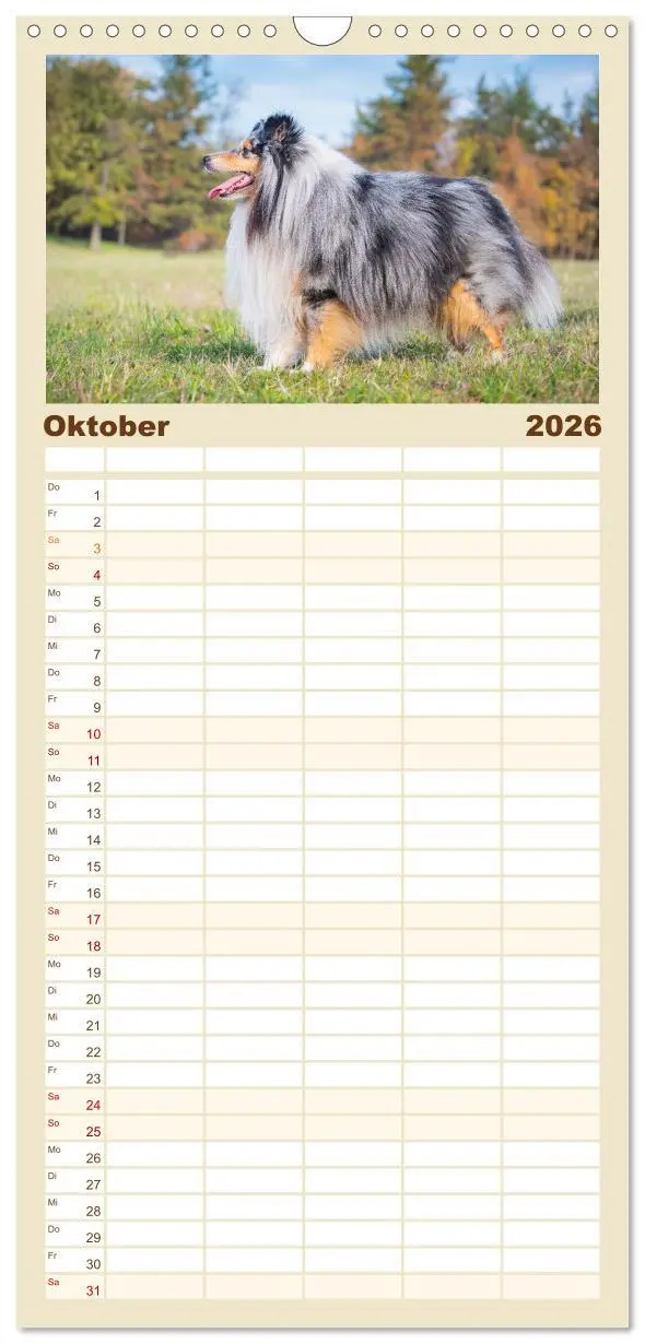 Bild: 9783516492101 | Familienplaner 2026 - Sheltie - Ein Stück vom Glück mit 5 Spalten...