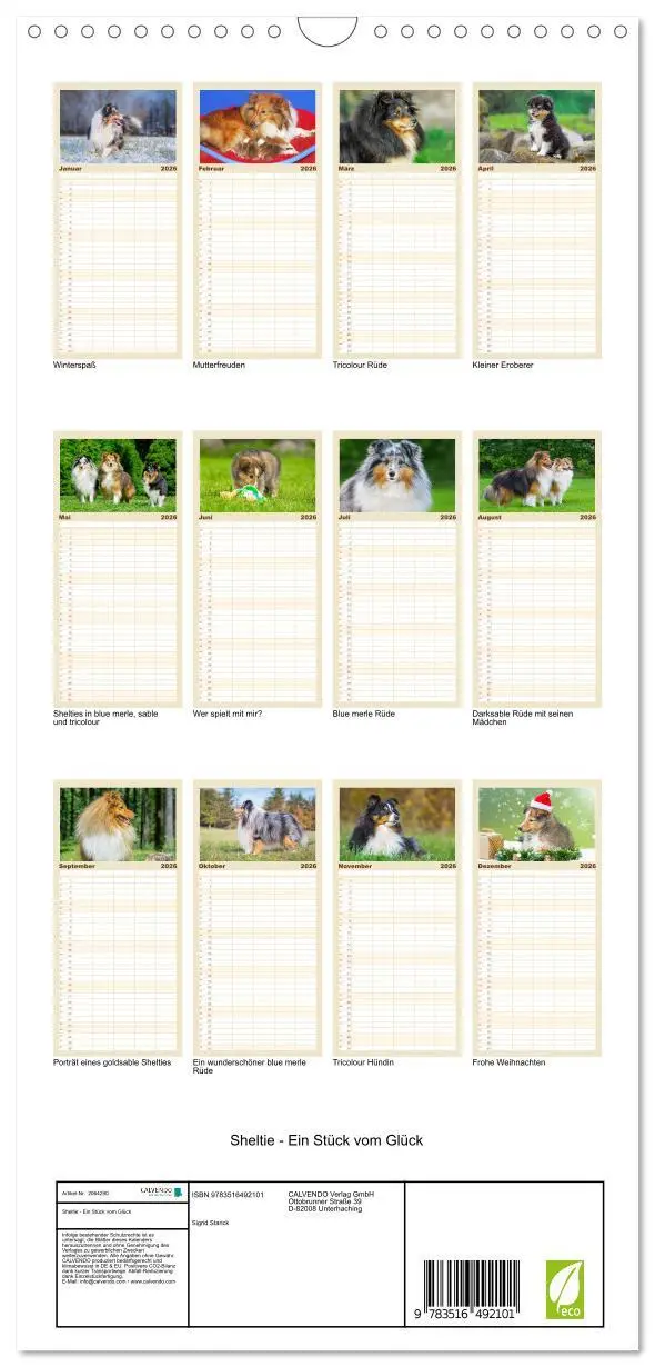 Bild: 9783516492101 | Familienplaner 2026 - Sheltie - Ein Stück vom Glück mit 5 Spalten...
