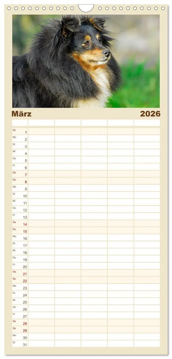 Bild: 9783516492101 | Familienplaner 2026 - Sheltie - Ein Stück vom Glück mit 5 Spalten...