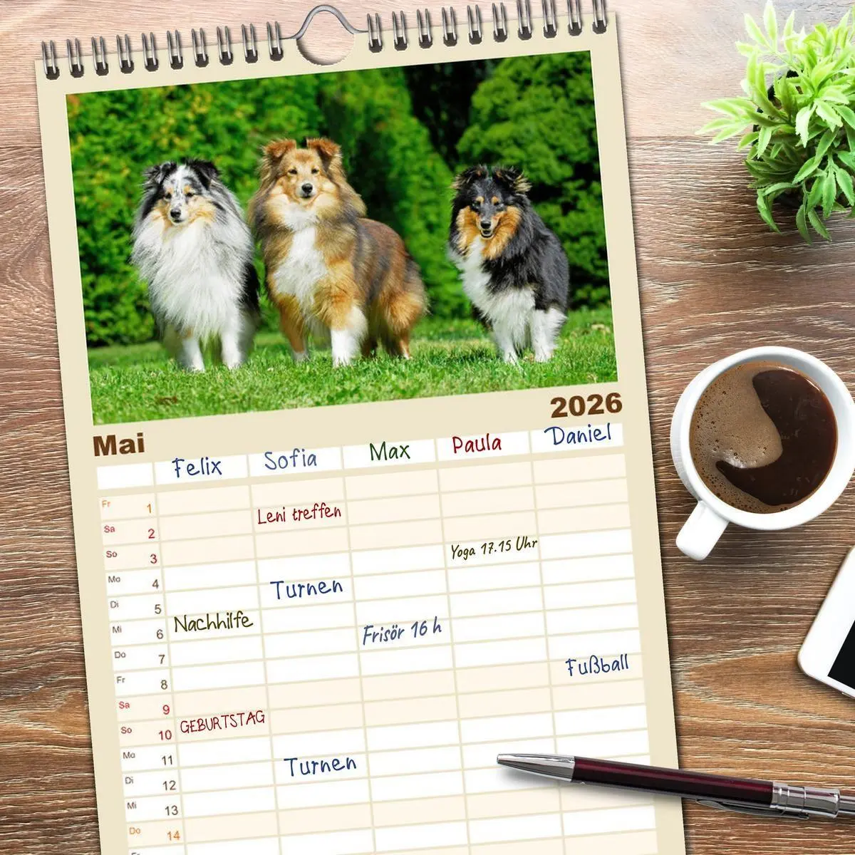 Bild: 9783516492101 | Familienplaner 2026 - Sheltie - Ein Stück vom Glück mit 5 Spalten...