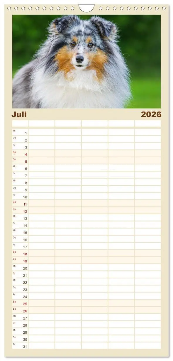 Bild: 9783516492101 | Familienplaner 2026 - Sheltie - Ein Stück vom Glück mit 5 Spalten...