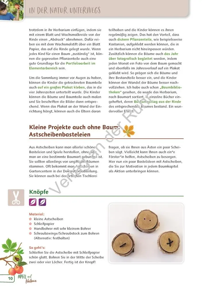 Bild: 9783834662101 | Paket: Heimische Bäume | Corinna Weinert (u. a.) | Taschenbuch | 2022