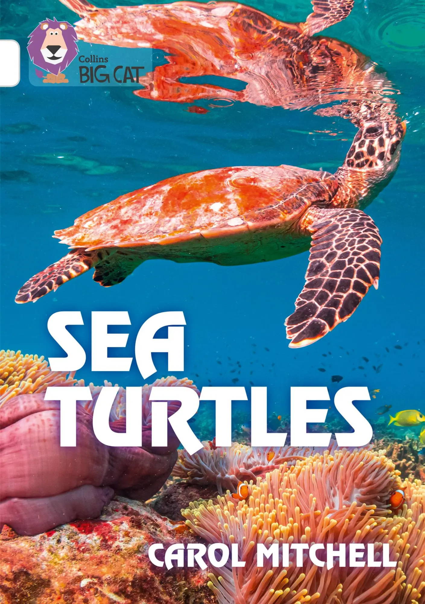 Cover: 9780008432201 | Sea Turtles | Band 10/White | Carol Mitchell | Taschenbuch | Englisch