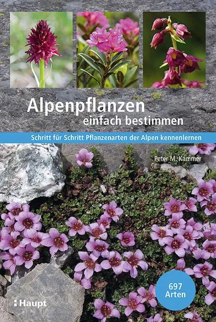 Cover: 9783258082301 | Alpenpflanzen einfach bestimmen | Peter M. Kammer | Buch | 416 S.