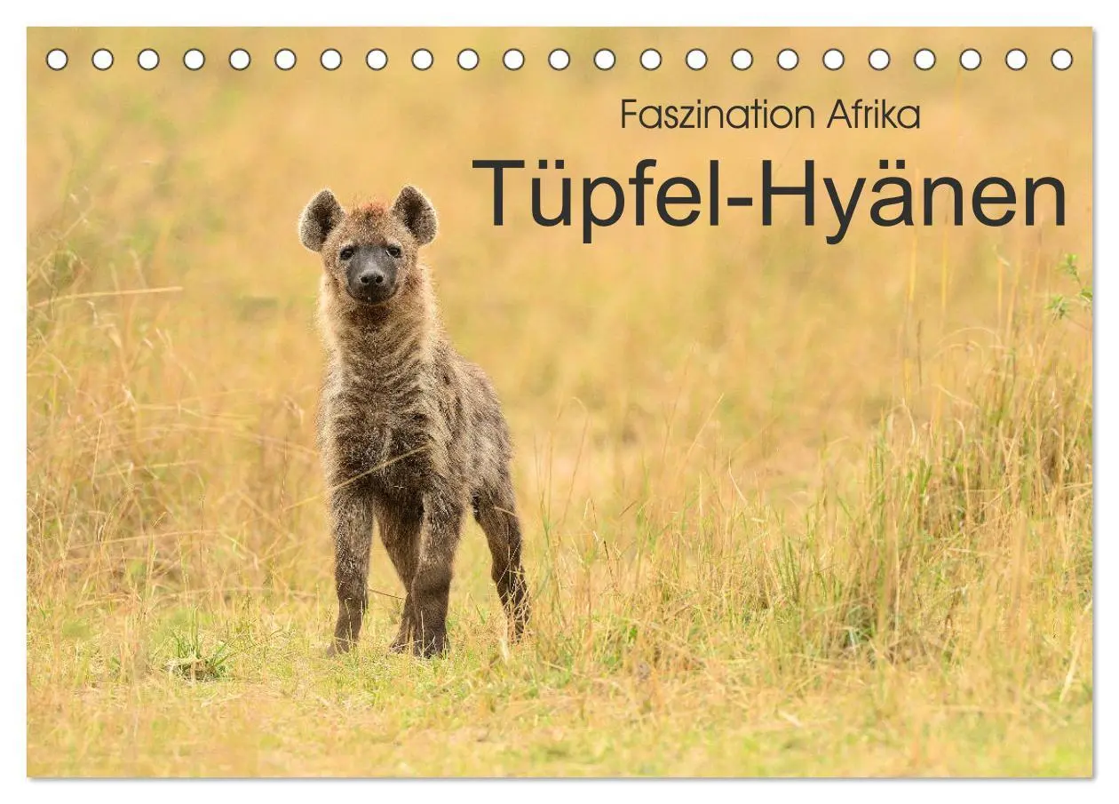 Cover: 9783457692301 | Faszination Afrika: Tüpfel-Hyänen (Tischkalender 2026 DIN A5 quer),...
