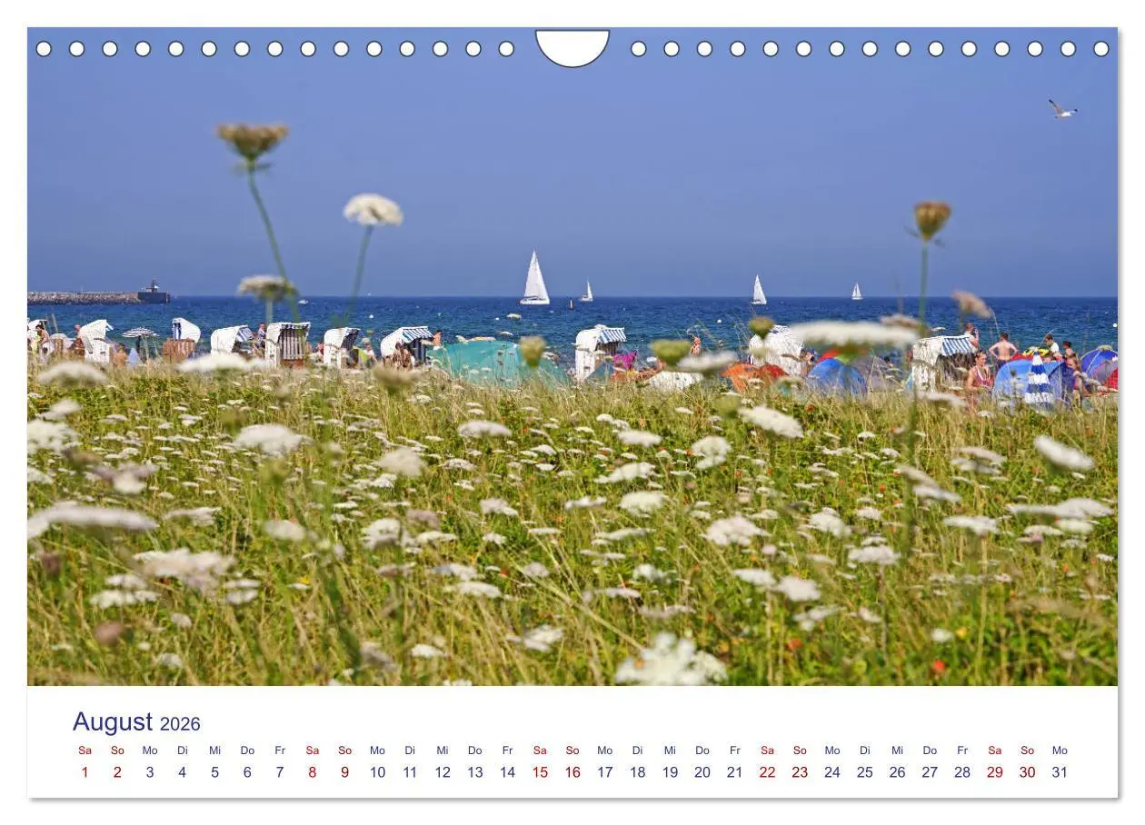 Bild: 9783457902301 | Radtouren ab Eckernförde (Wandkalender 2026 DIN A4 quer), CALVENDO...