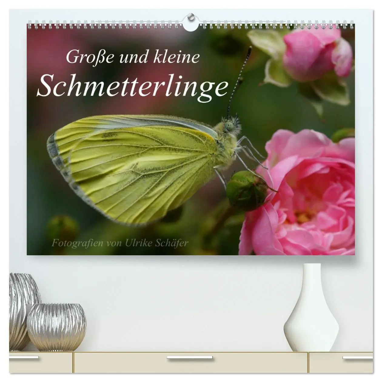 Cover: 9783516082401 | Große und kleine Schmetterlinge (hochwertiger Premium Wandkalender...