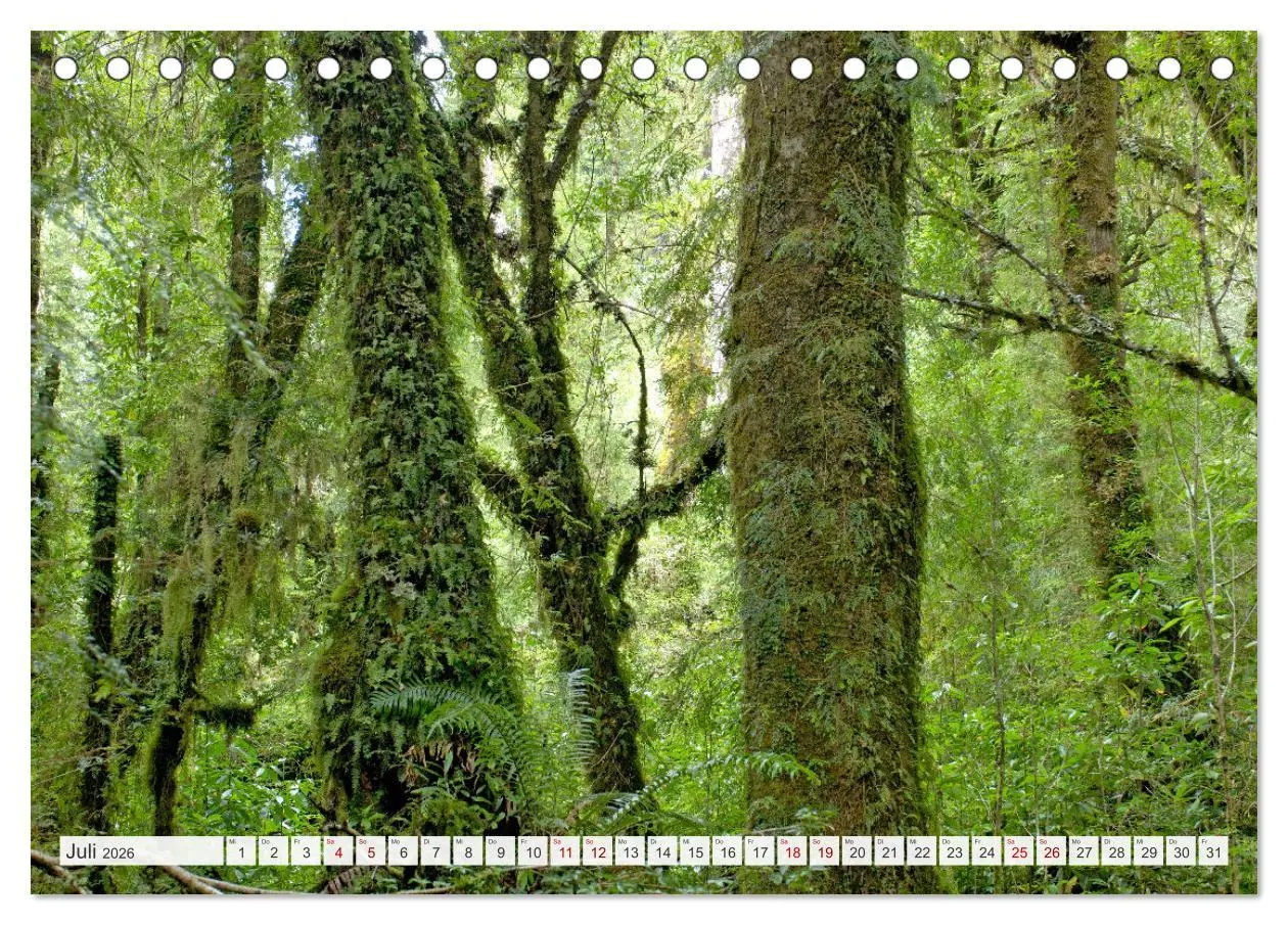 Bild: 9783457362501 | Magie dieses Südamerikanischen Landes, Chile (Tischkalender 2026...