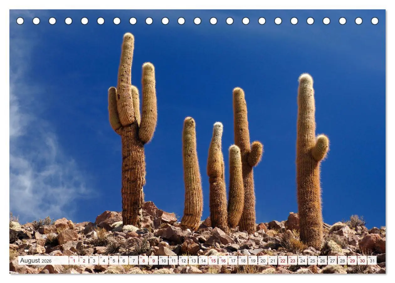 Bild: 9783457362501 | Magie dieses Südamerikanischen Landes, Chile (Tischkalender 2026...