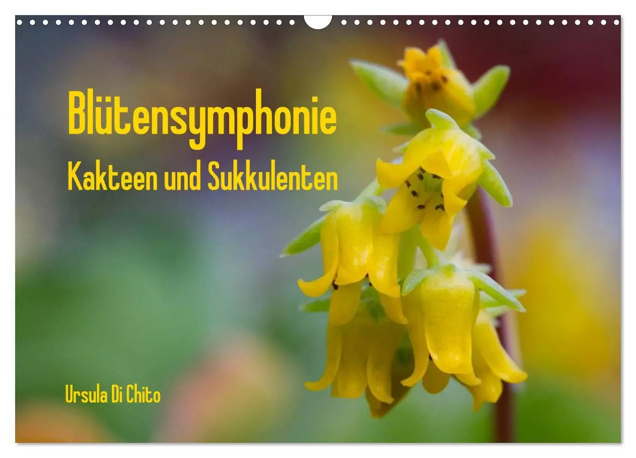 Cover: 9783516072501 | Blütensymphonie - Kakteen und Sukkulenten (Wandkalender 2026 DIN A3...