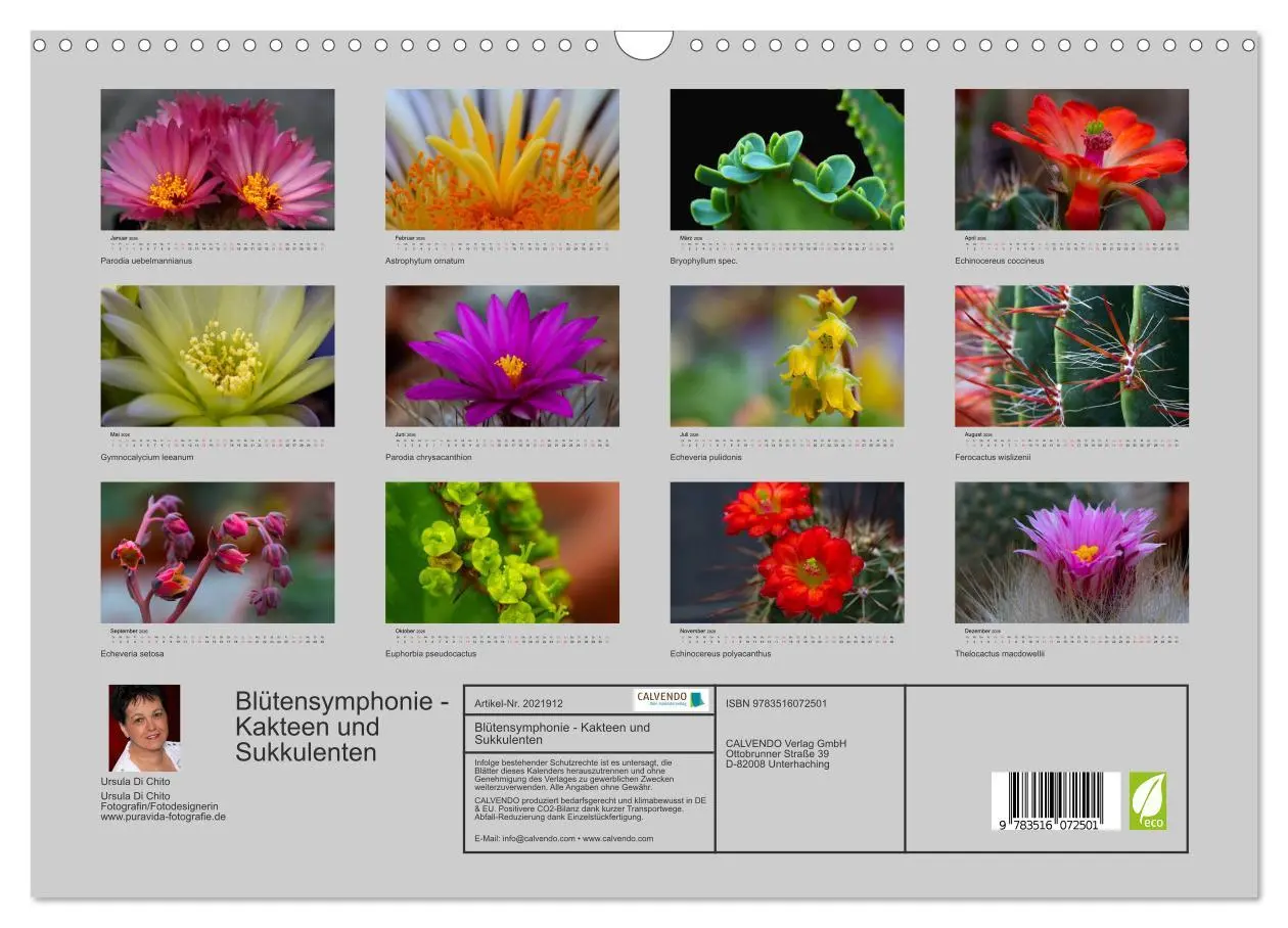 Bild: 9783516072501 | Blütensymphonie - Kakteen und Sukkulenten (Wandkalender 2026 DIN A3...
