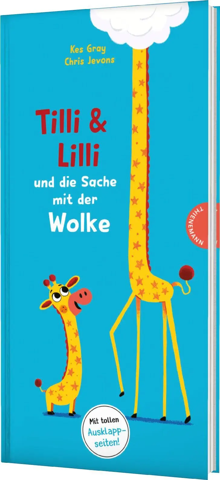 Cover: 9783522462501 | Tilli und Lilli und die Sache mit der Wolke | Kes Gray (u. a.) | Buch