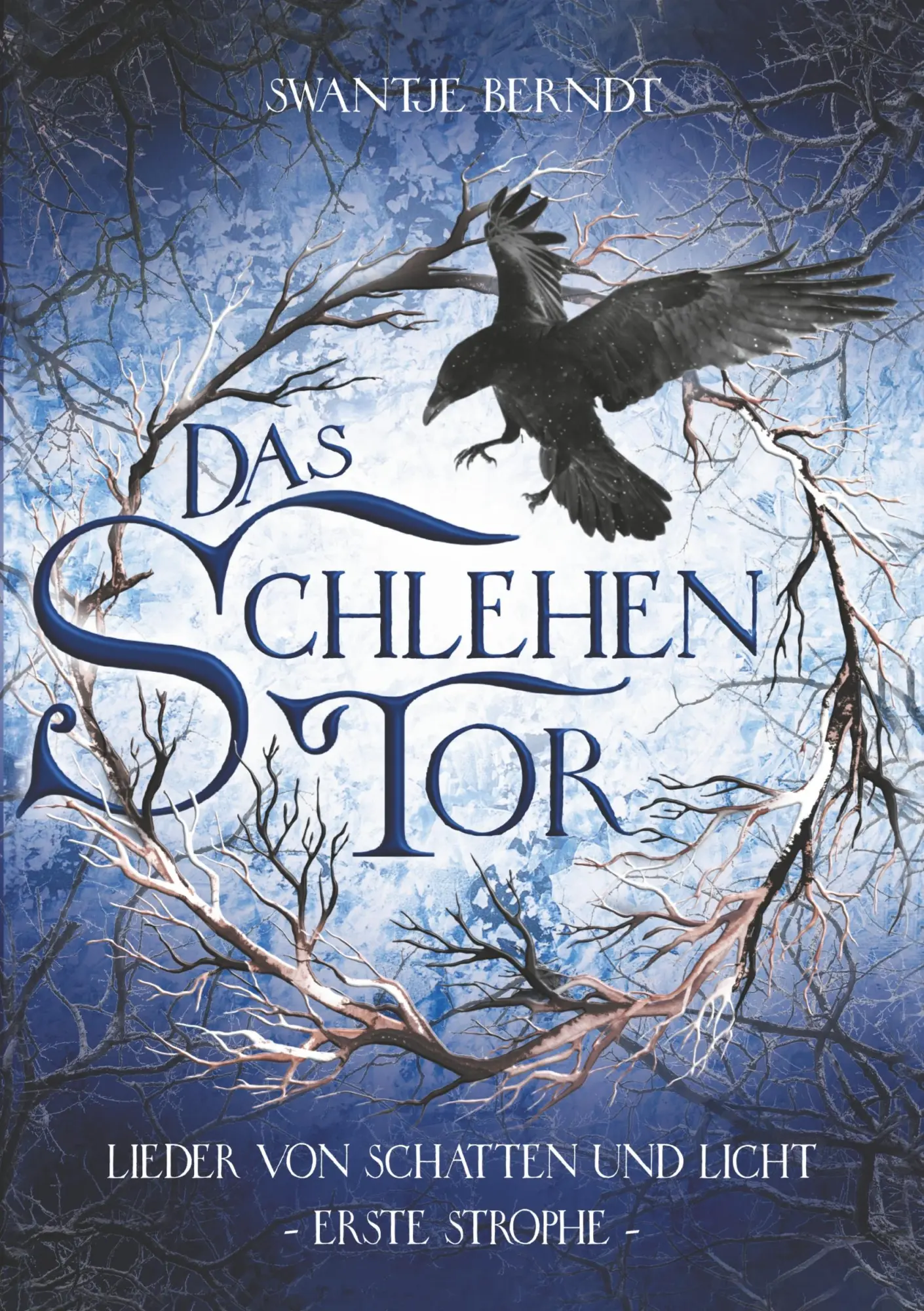 Cover: 9783741252501 | Das Schlehentor | Swantje Berndt | Taschenbuch | 408 S. | Deutsch