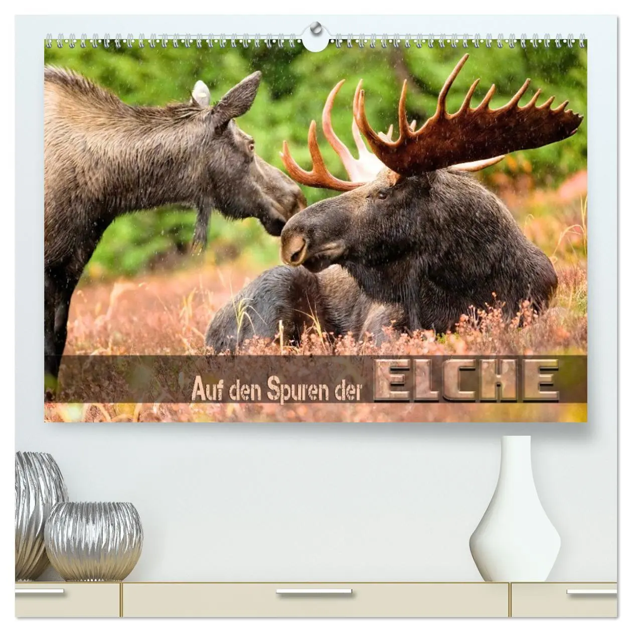 Cover: 9783457422601 | Auf den Spuren der Elche (hochwertiger Premium Wandkalender 2026...