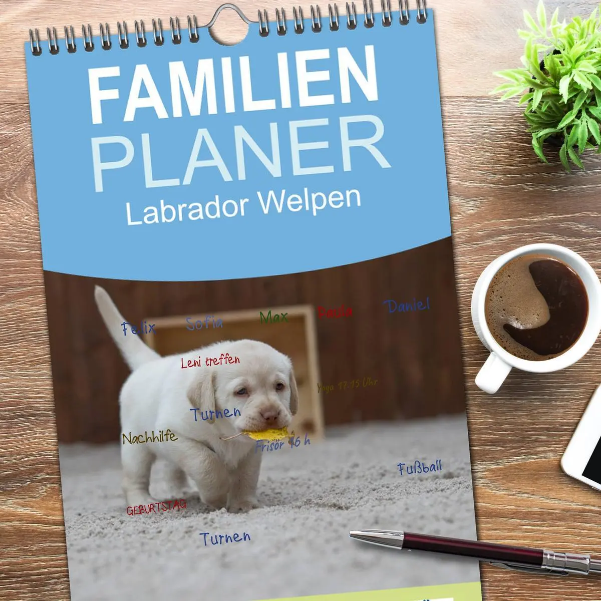 Bild: 9783516512601 | Familienplaner 2026 - Labrador Welpen mit 5 Spalten (Wandkalender,...