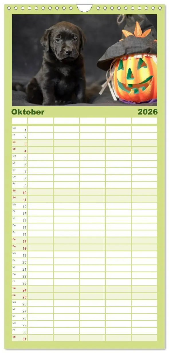 Bild: 9783516512601 | Familienplaner 2026 - Labrador Welpen mit 5 Spalten (Wandkalender,...
