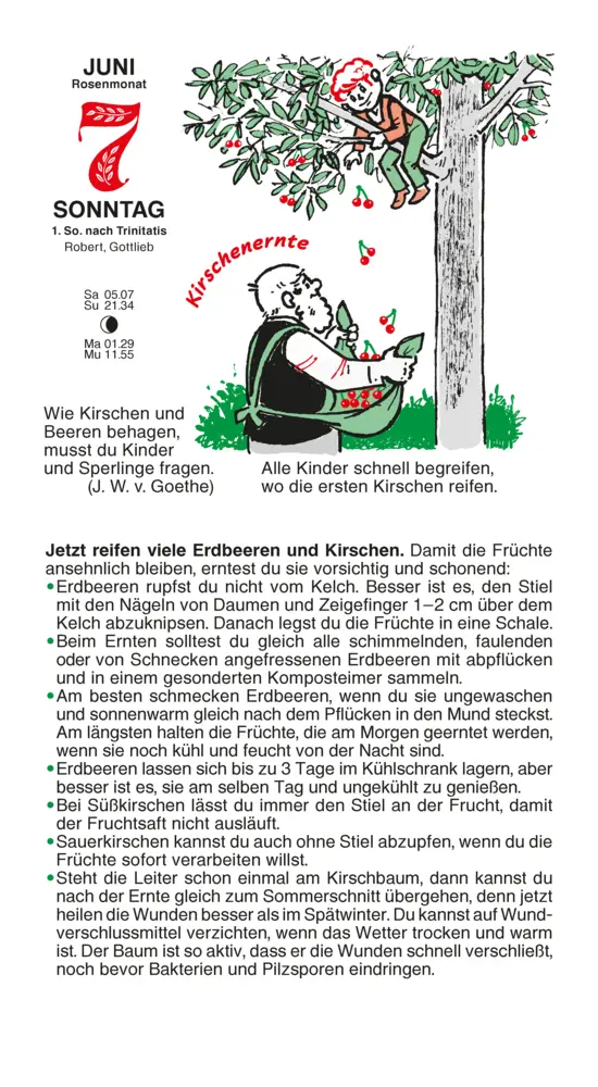 Bild: 9783920362601 | Gärtner Pötschke Schmuckausgabe 2026 | Kalender | 380 S. | Deutsch