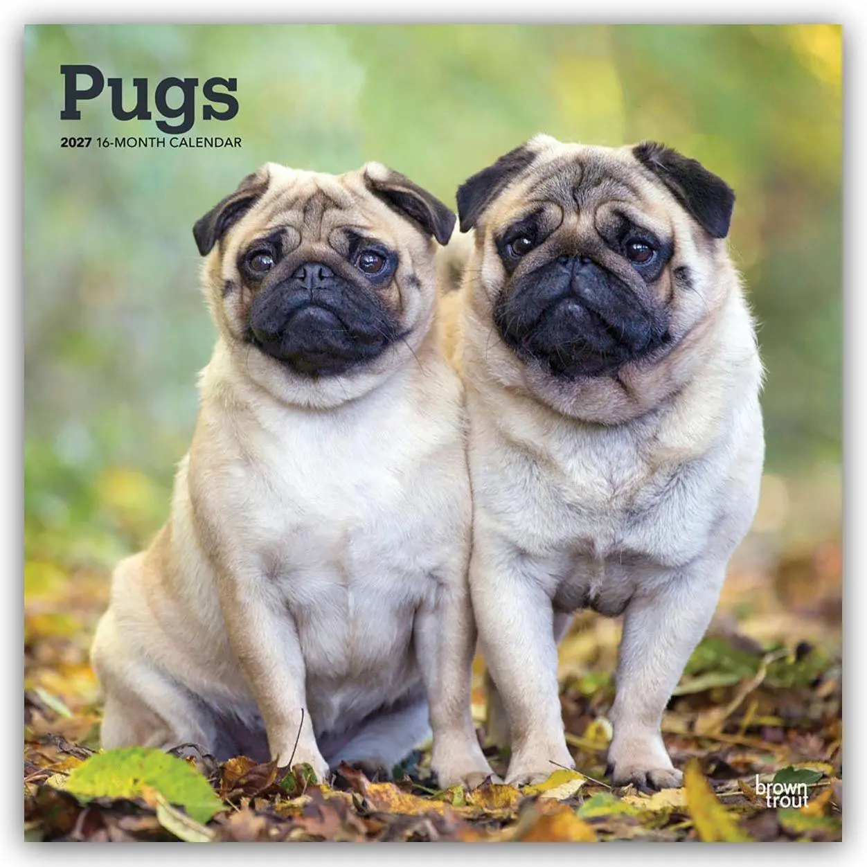 Cover: 9798330712601 | Pugs - Mops 2027 - 16-Monatskalender | Browntrout Publishers | 28 S.