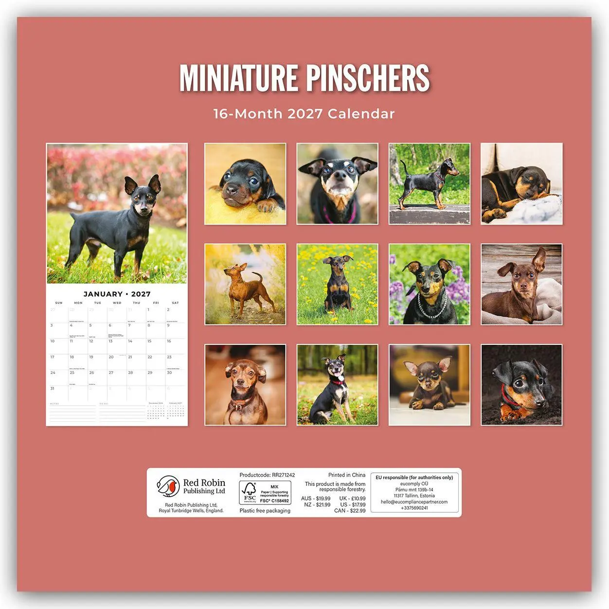 Bild: 9781837012701 | Miniature Pinschers - Zwergpinscher - Rehpinscher 2027 -...