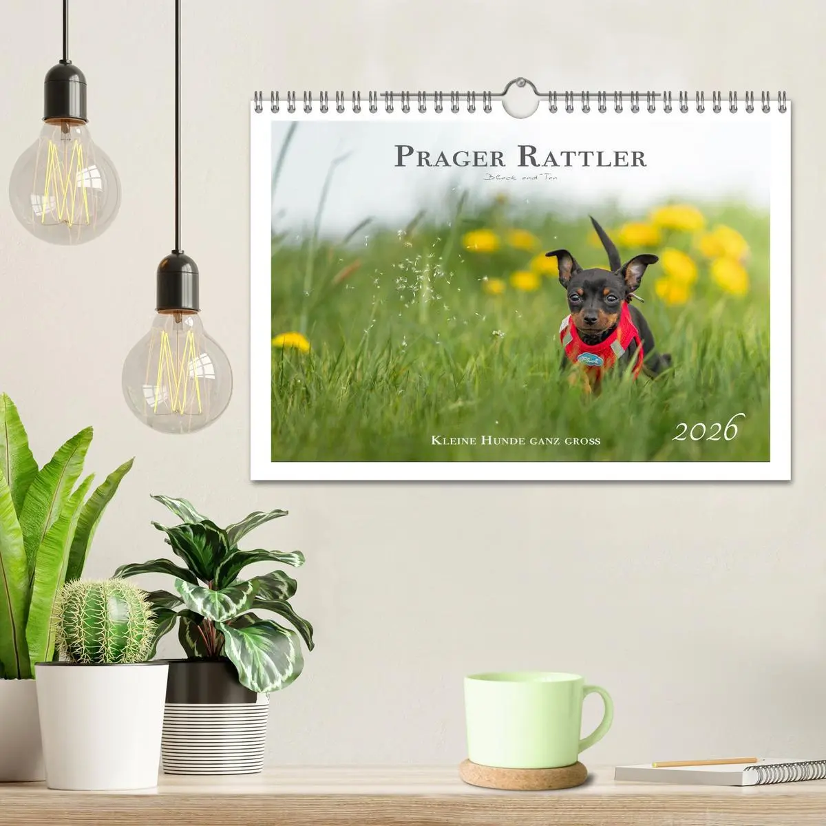 Bild: 9783457652701 | Prager Rattler - Black and Tan - Kleine Hunde ganz groß...