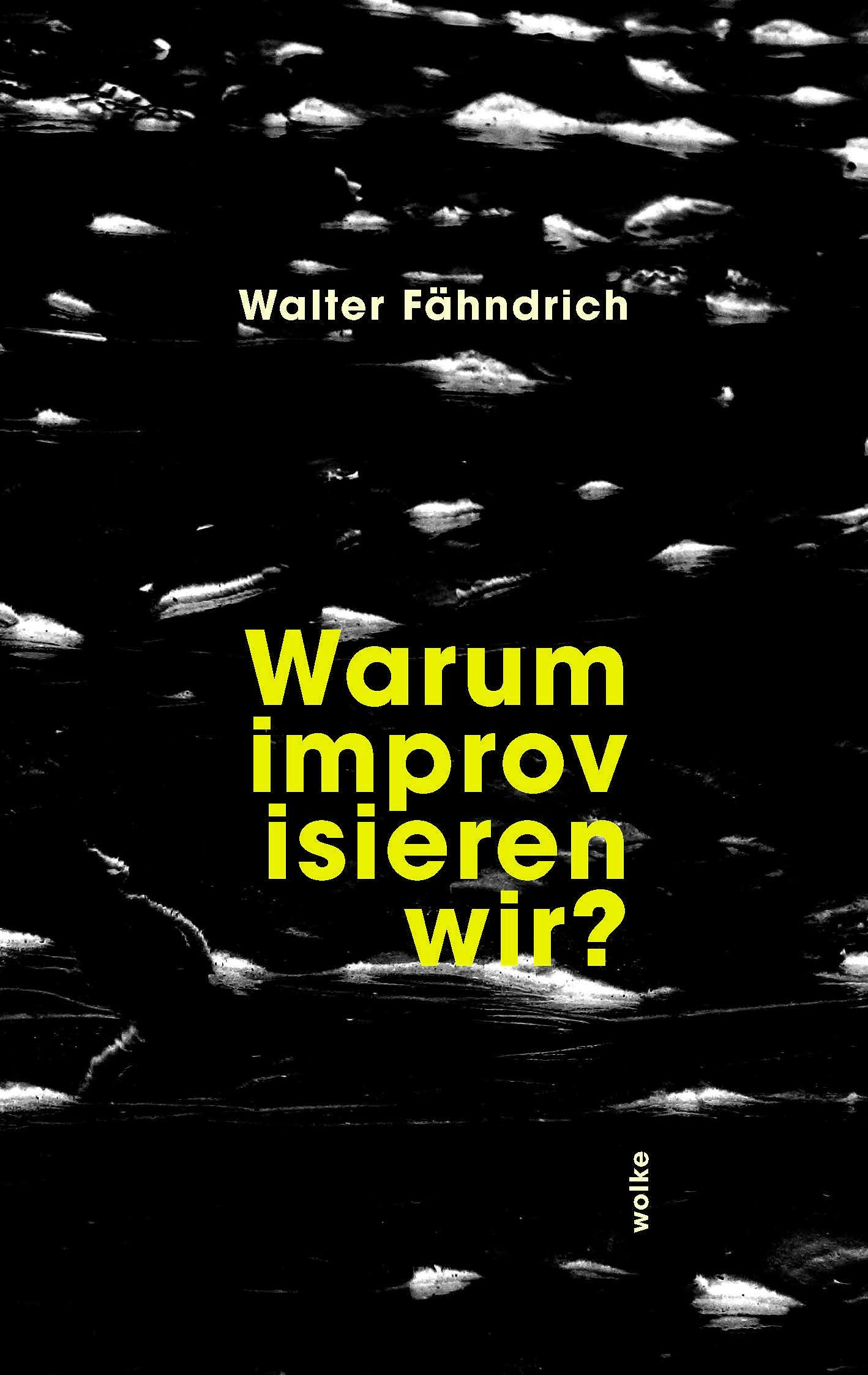 Cover: 9783955932701 | Warum improvisieren wir? | Walter Fähndrich | Taschenbuch | ? | 2024
