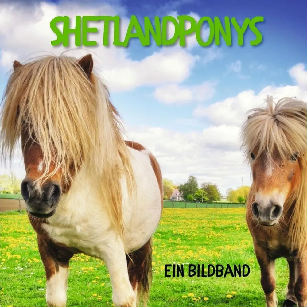 Cover: 9783750512801 | Shetlandponys | Ein Bildband | Bibi Hübsch | Taschenbuch | 42 S.