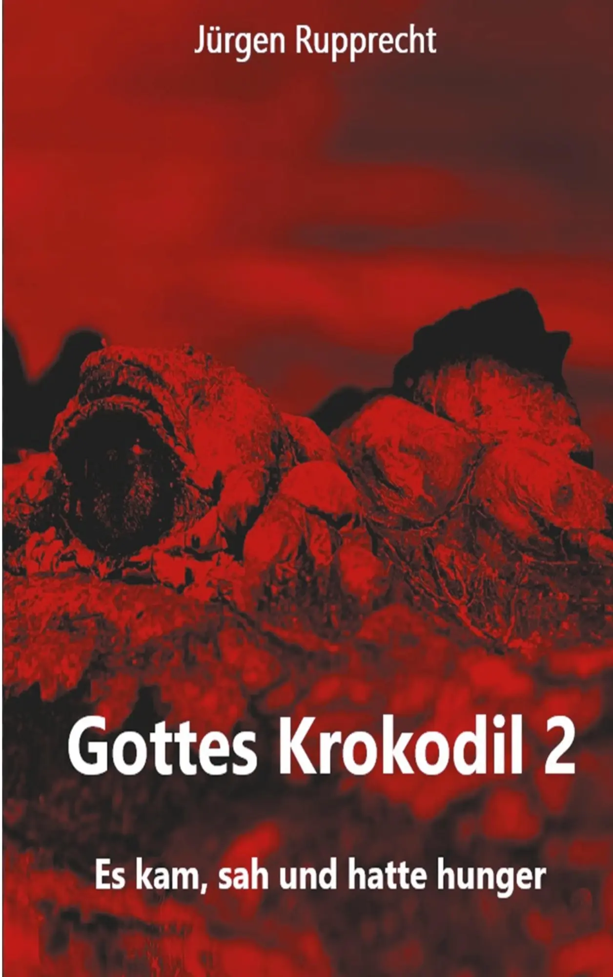 Cover: 9783769352801 | Gottes Krokodil 2 | Es kam, sah und hatte Hunger | Jürgen Rupprecht