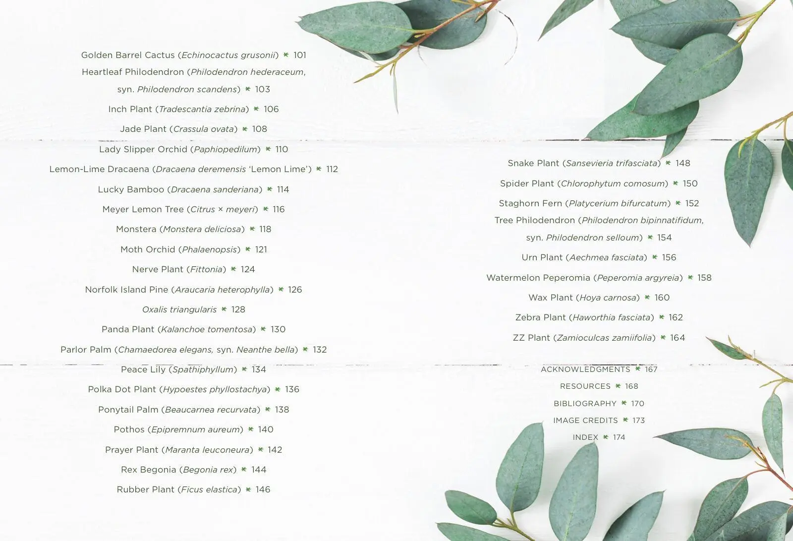 Bild: 9781454932901 | How to Houseplant | Heather Rodino | Buch | Gebunden | Englisch | 2019