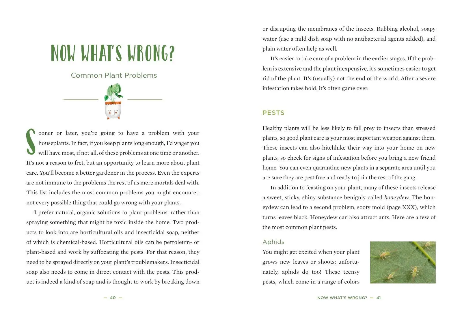 Bild: 9781454932901 | How to Houseplant | Heather Rodino | Buch | Gebunden | Englisch | 2019
