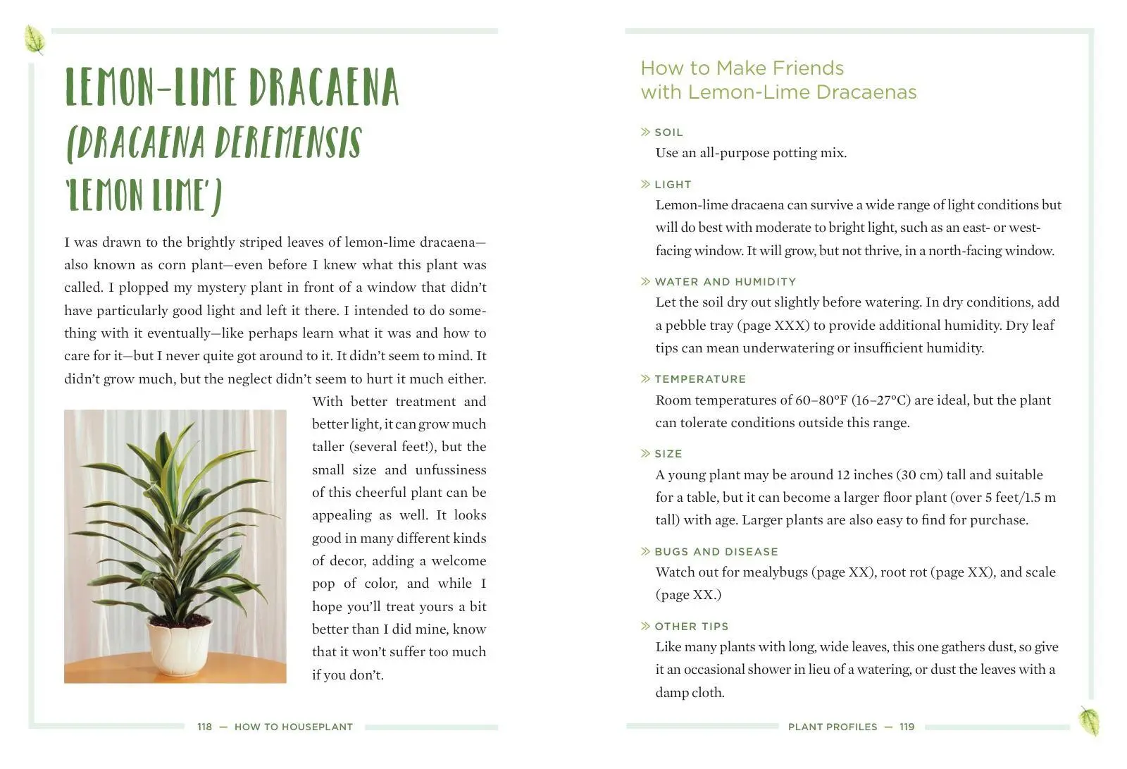 Bild: 9781454932901 | How to Houseplant | Heather Rodino | Buch | Gebunden | Englisch | 2019